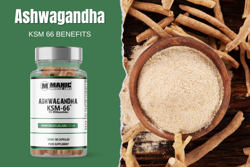 Benefits of Ashwagandha - Manic Muscle Labs