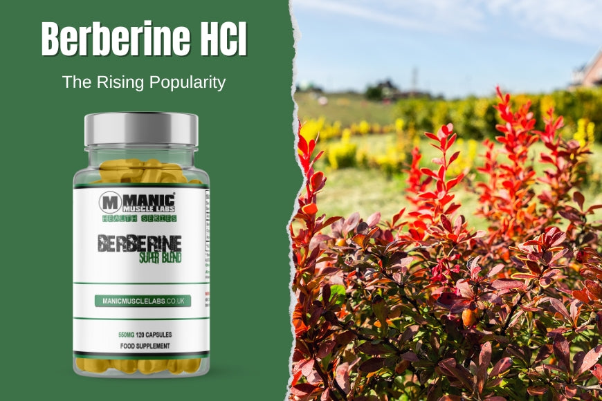 Berberine HCl 