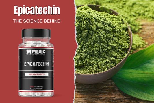 Epicatechin Natural Muscle Builder