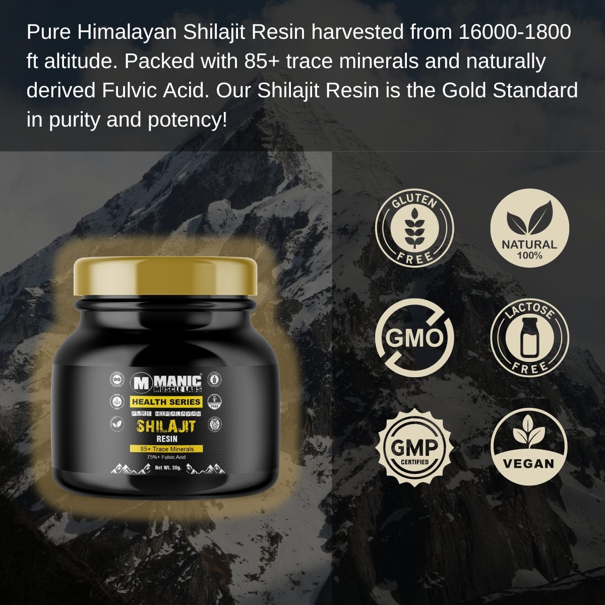 Résine Shilajit pure de l'Himalaya 75 % + acide fulvique 30 g